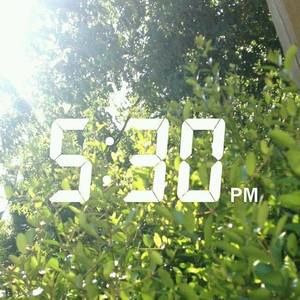 Meet your Posher, Summer